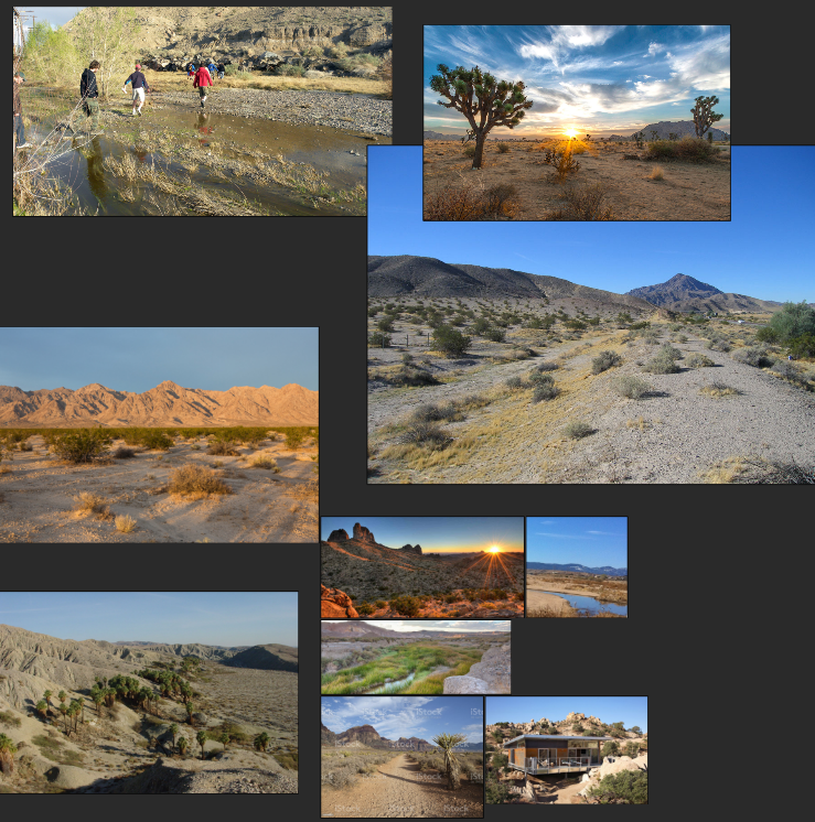 References I collected before creating the desert environment.